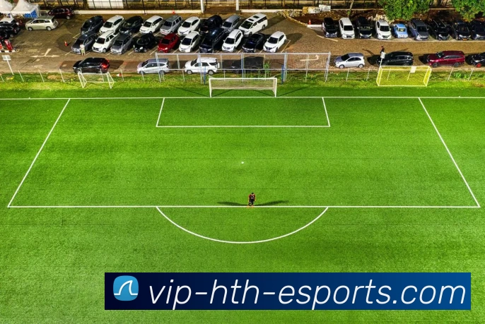 华体会电竞VIP全站App